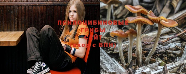 прущая мука Елизово